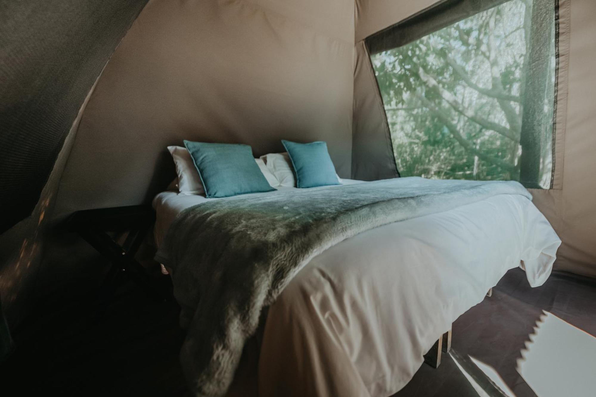 Storms River Forest Lodge Стормсривиер Екстериор снимка