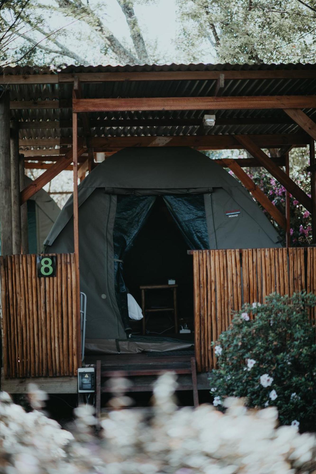 Storms River Forest Lodge Стормсривиер Екстериор снимка