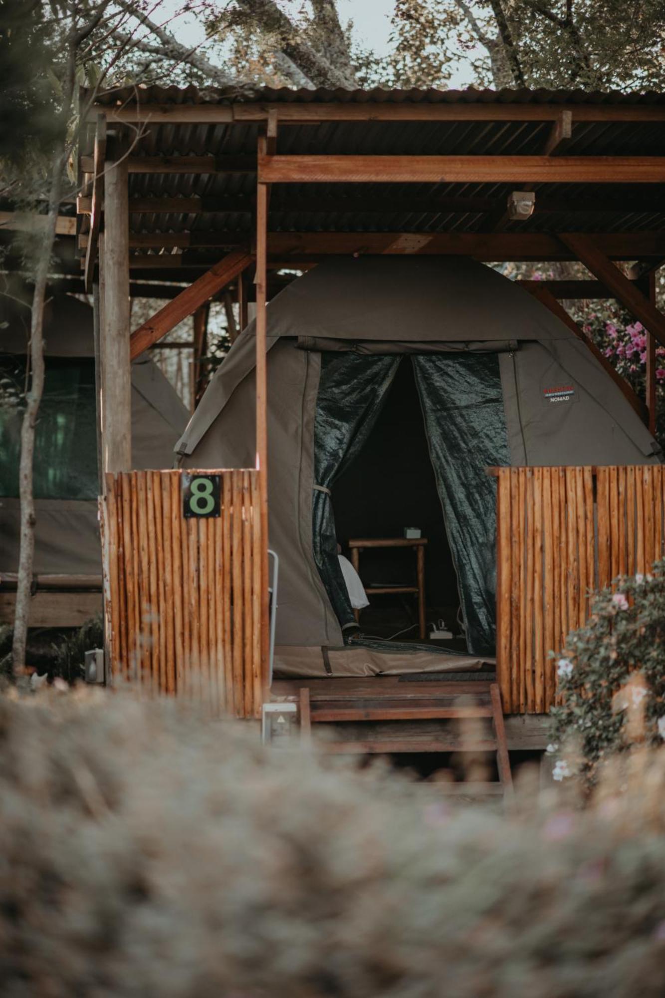 Storms River Forest Lodge Стормсривиер Екстериор снимка