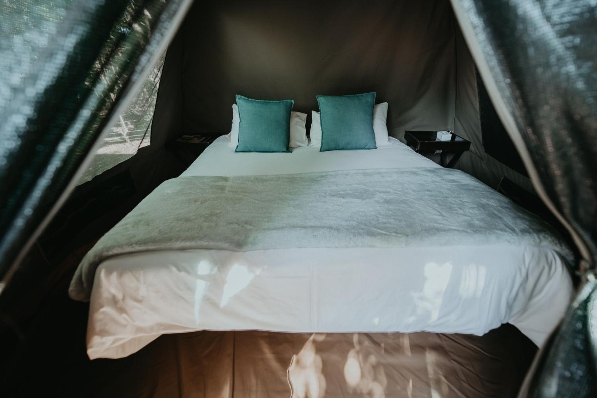 Storms River Forest Lodge Стормсривиер Екстериор снимка