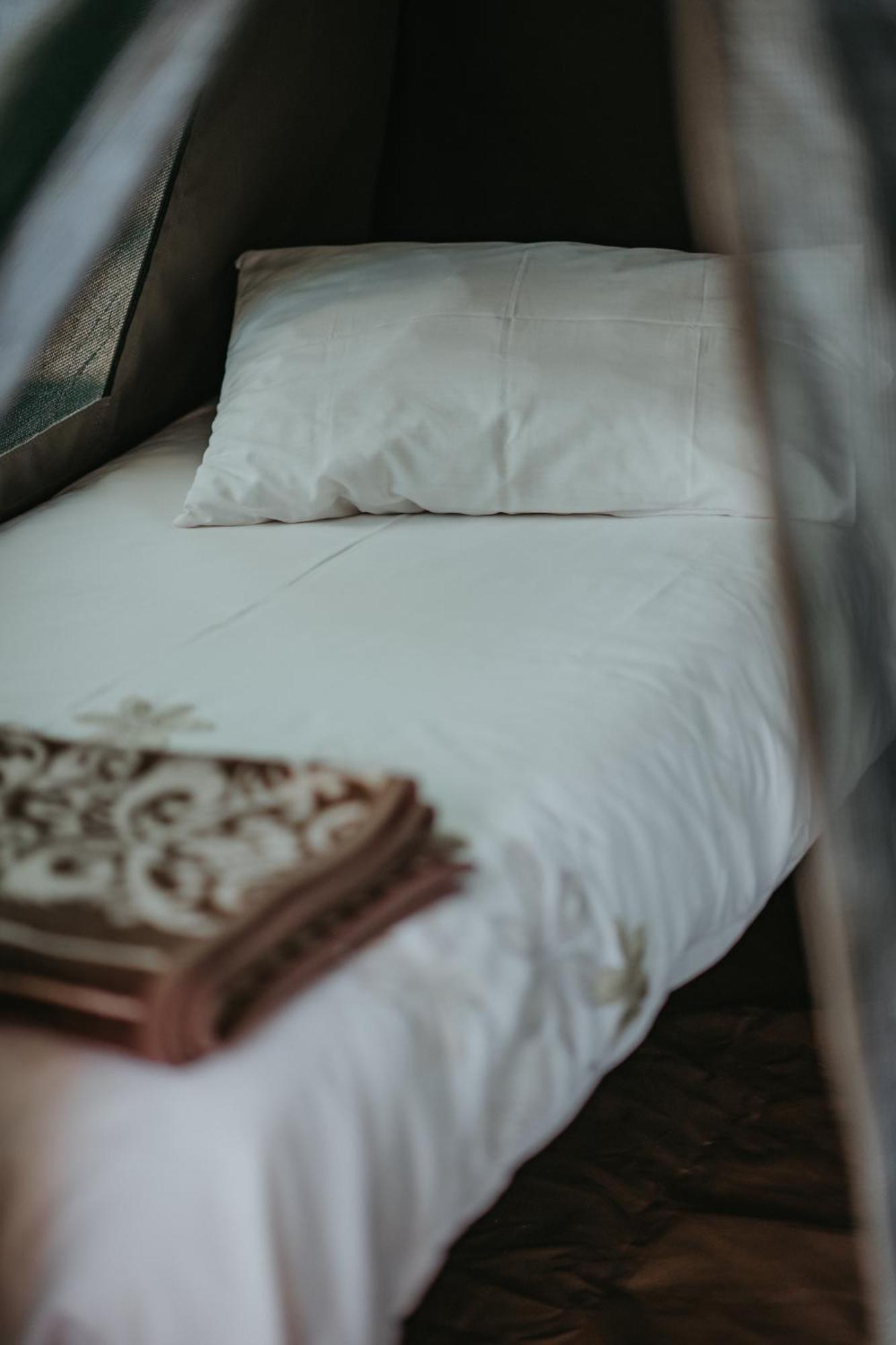 Storms River Forest Lodge Стормсривиер Екстериор снимка