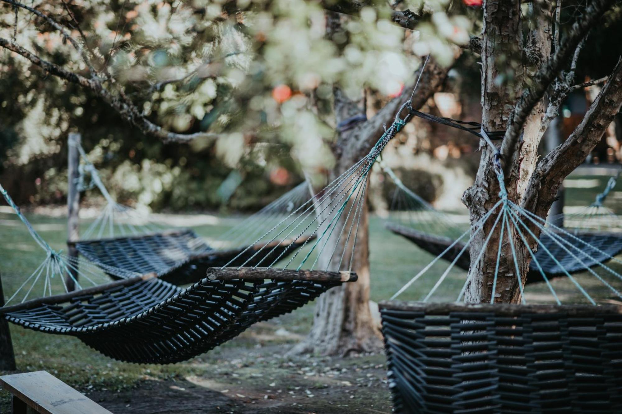 Storms River Forest Lodge Стормсривиер Екстериор снимка