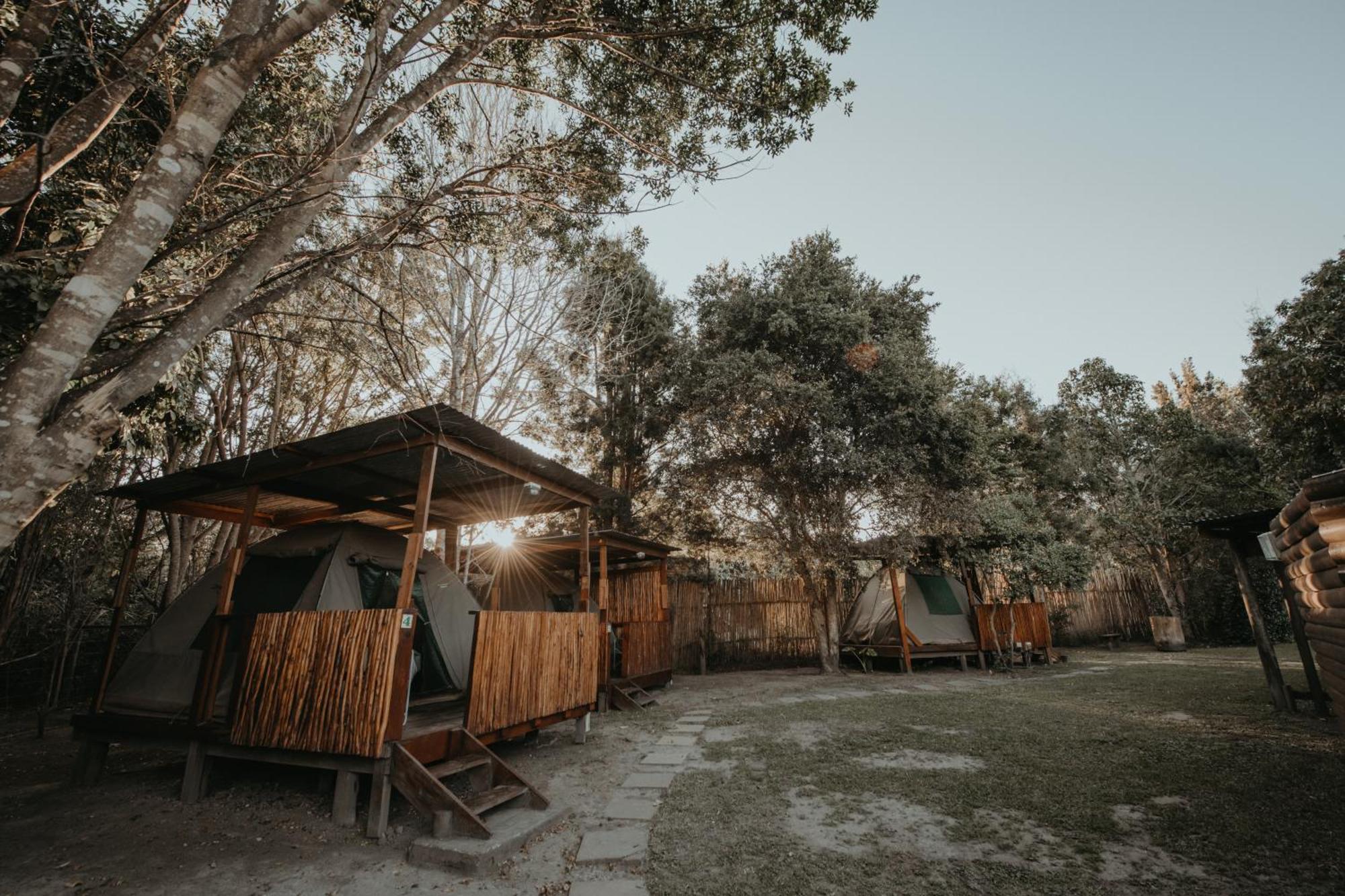 Storms River Forest Lodge Стормсривиер Екстериор снимка